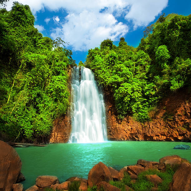 A cascading waterfall in the tropics stock photo