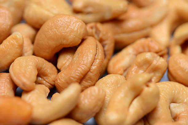 Cashew Nut stock photo