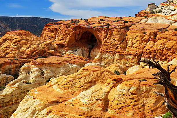 Cassidy Arch View of Cassidy Arch at Capitol Reef National Park garfield county utah stock pictures, royalty-free photos & images