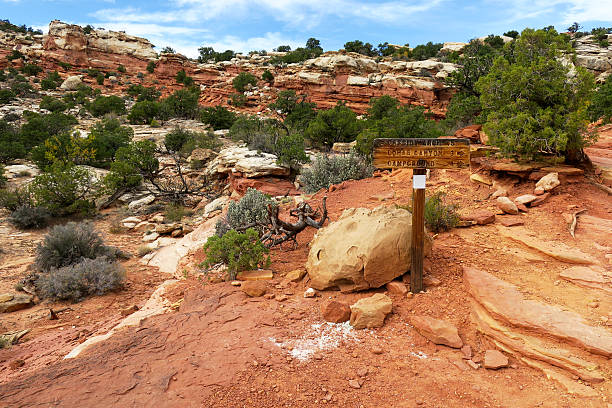 Cassidy Arch Trail Trail sign along the Cassidy Arch Trail at Capitol Reef National Park garfield county utah stock pictures, royalty-free photos & images