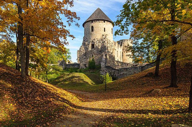 Castle in Cesis Castle in Cesis, Latvia latvia stock pictures, royalty-free photos & images