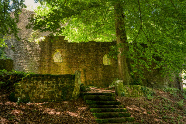 Castle ruin Stolzeneck along the long-distance hiking trail Neckarsteig in Germany Castle ruin Stolzeneck along the long-distance hiking trail Neckarsteig in Germany odenwald stock pictures, royalty-free photos & images
