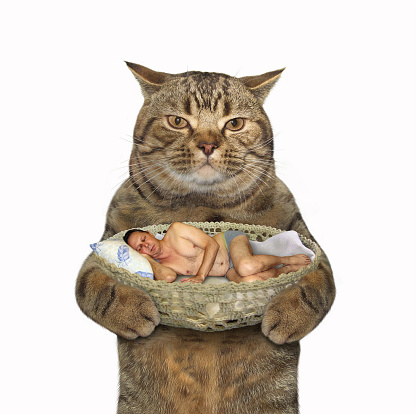 The big cat is holding a crib with a sleeping man. White background.
