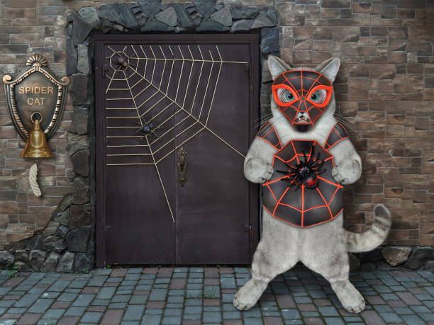 Cat ashen in spider costume near his house An ashen cat is wearing a spider costume near a door of his house. Spidercat. original spiderman costume stock pictures, royalty-free photos & images