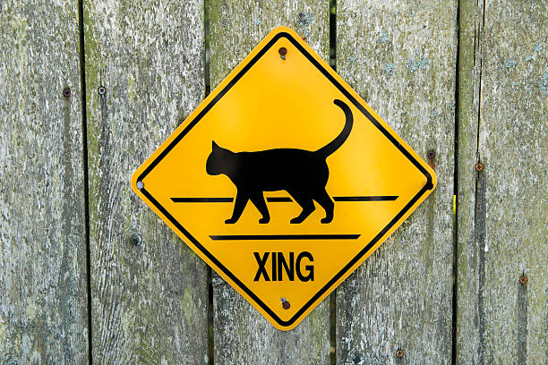 Cat crossing sign stock photo