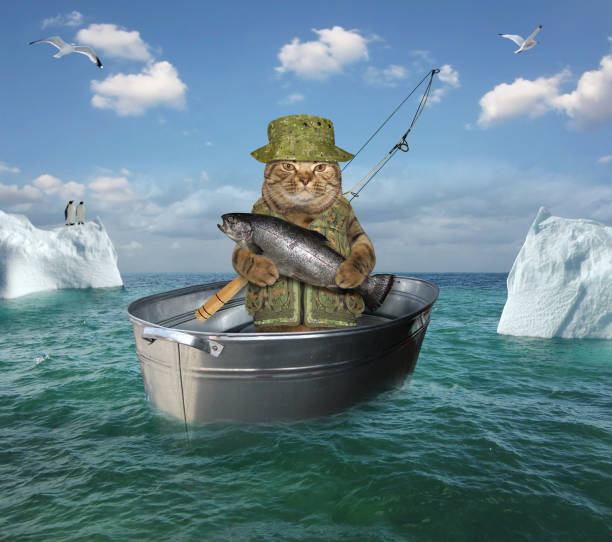 katt fiskare driver i ett tvättbad - ice bath ocean bildbanksfoton och bilder