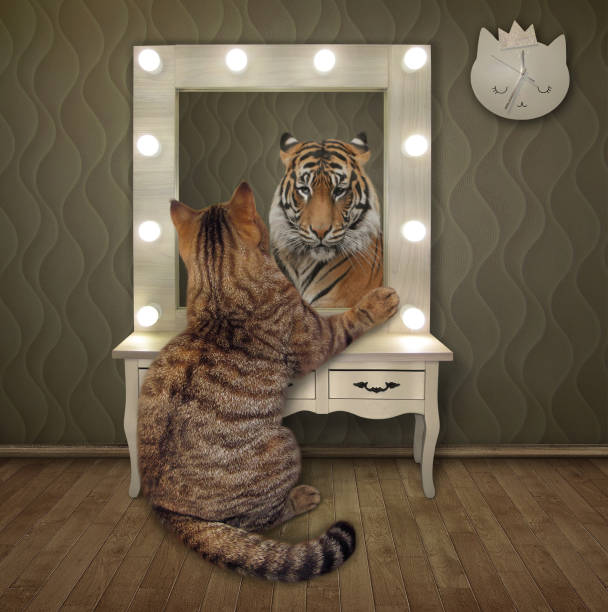 Lion mirror cat Lion