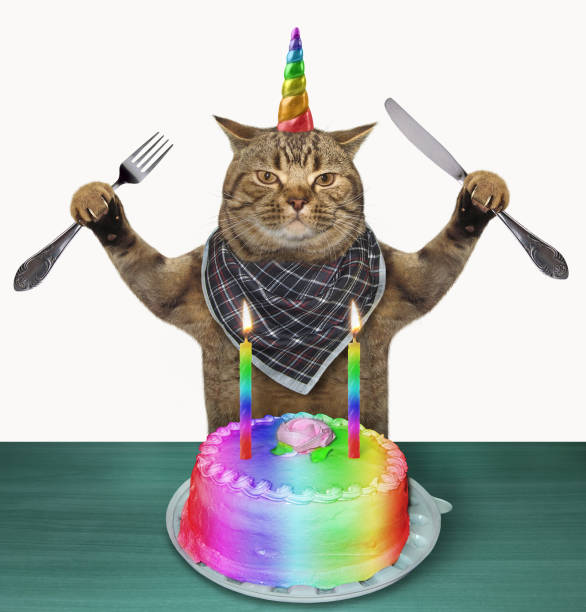 Cat unicorn with a birthday cake The cat unicorn with a knife and a fork is going to eat a birthday cake. White background. happy birthday cat stock pictures, royalty-free photos & images
