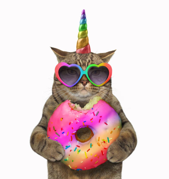 katze-einhorn mit einem donut - einhorn regenbogen stock-fotos und bilder