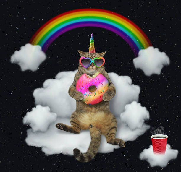 katze-einhorn mit der farbe donut auf einer wolke 2 - einhorn regenbogen stock-fotos und bilder