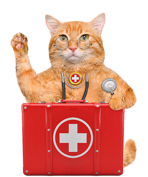 Nursing Kits Stock Photos, Pictures & Royalty-Free Images - iStock