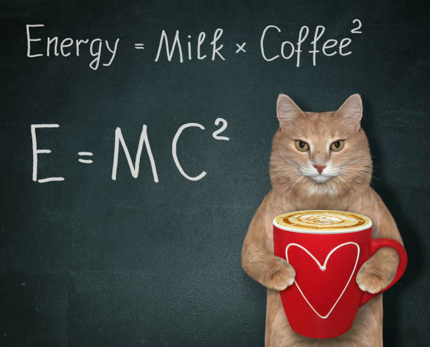 Cat with energy coffee 2 The ginger cat holds a red cup of black energy coffee with milk. There are two funny formulas next to him. Black background. albert einstein stock pictures, royalty-free photos & images