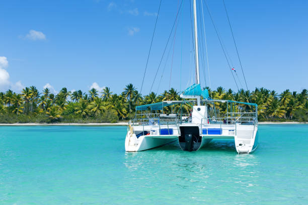Catamaran sailing in Caribbean sea stock photo