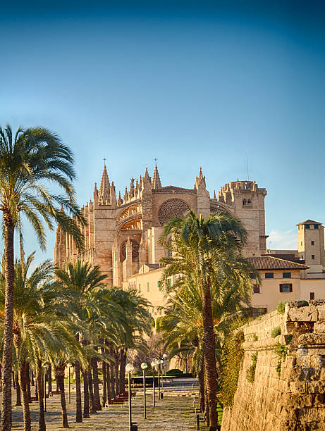 Cathedral of Majorca stock photo