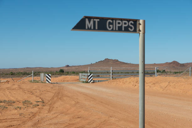 Cattle barrier grid at the dirt road in a remote area of Australian Outback near Mount Gipps Station, NSW  cattle grid stock pictures, royalty-free photos & images