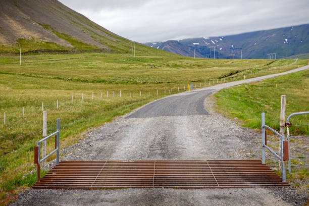 Cattle grid and dirt road Cattle grid and dirt road between grass fields and mountains at the north side of Snaefellsnes cattle grid stock pictures, royalty-free photos & images