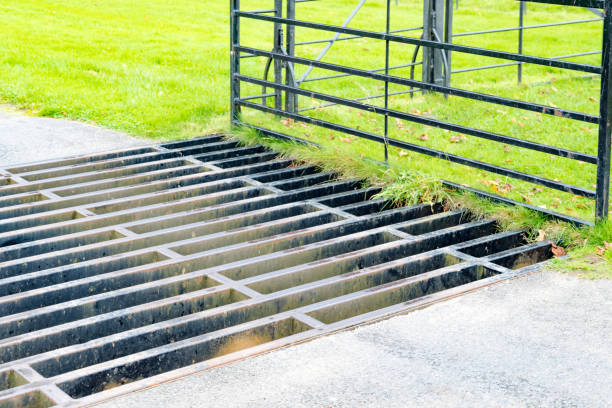 Cattle grid in road  cattle grid stock pictures, royalty-free photos & images