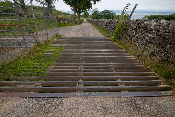 A cattle grid on a narrow road in the Scottish Highlands, UK  cattle grid stock pictures, royalty-free photos & images