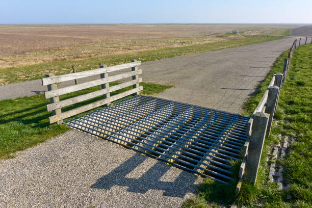 Cattle grid on a seawall near Holwerd Cattle grid or cattle guard on a seawall to prevent livestock from passing along a road which penetrates the fencing surrounding an enclosed piece of land or border. cattle grid stock pictures, royalty-free photos & images
