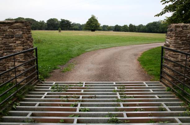 Cattle grid Cattle grid and meadow. Gloucestershire cattle grid stock pictures, royalty-free photos & images