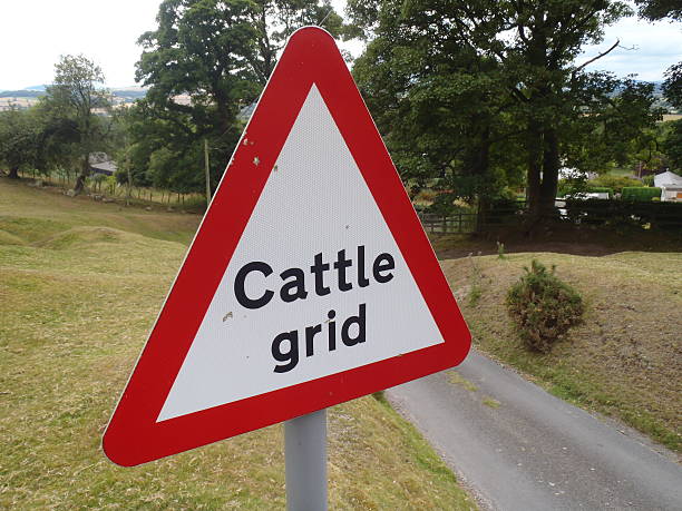Cattle Grid Warning Taken up Church Stretton just before a cattle grid this warning sign was quite predominant. normalisaverage stock pictures, royalty-free photos & images