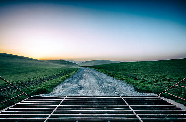 Cattle Guard at Sunset A cattle guard and dirt road at sunset in California. cattle grid stock pictures, royalty-free photos & images