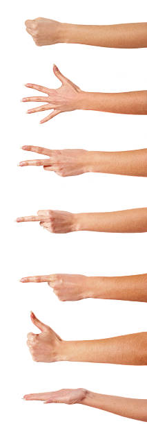 Caucasian hands making various gestures on white background stock photo