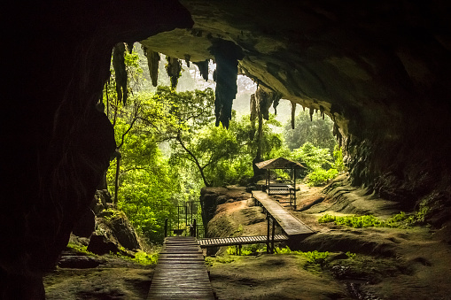 Niah national park, Sarawak, Malaysia
