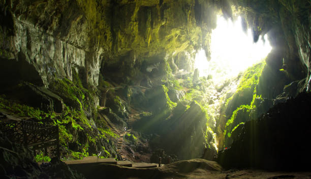 höhle öffnen in borneo, malaysia - höhlenklettern stock-fotos und bilder