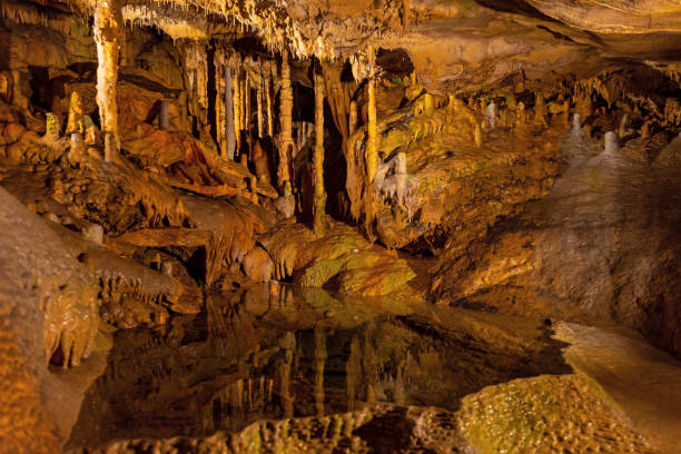 grotten van han, wallonië, belgië - stalagmiet stockfoto's en -beelden