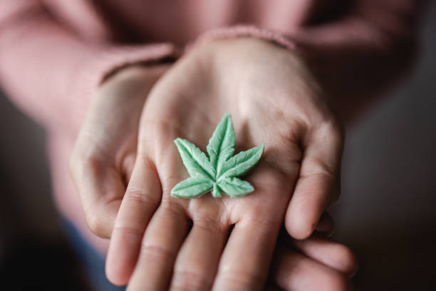 Cbd candy - Hands holding edible cannabis leaf for anxiety treatment - Marijuana alternative medicine stock photo