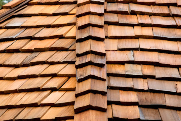 Cedar roof stock photo