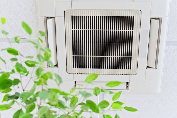 Ceiling air conditioner in modern office or at home with green ficus leaves Ceiling air conditioner in modern office or at home with green ficus plant leaves an idea of clean air. Indoor air quality concept wind stock pictures, royalty-free photos & images