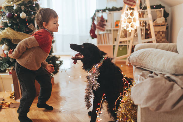 Celebrating New Year's Eve Portrait of a little boy and his dog pet, celebrating together Christmas and New Year's Holidays happy new year dog stock pictures, royalty-free photos & images