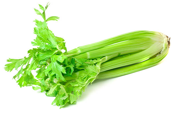 Celery A full celery isolated on white. celery stock pictures, royalty-free photos & images