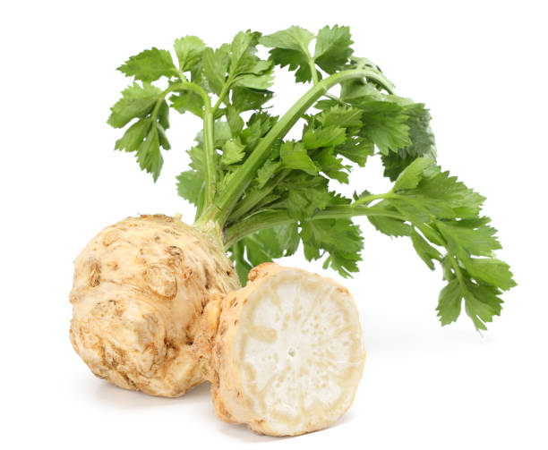 celery root with leaf isolated on white background. Celery isolated on white. Healthy food celery root with leaf isolated on white background. Celery isolated on white. Healthy food celery stock pictures, royalty-free photos & images
