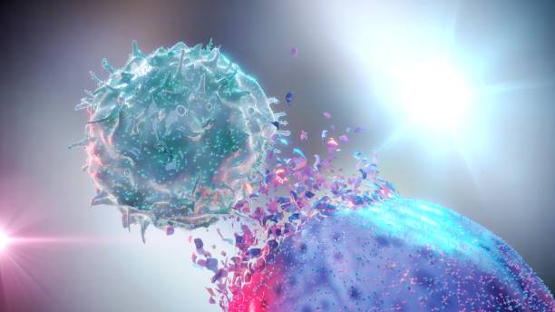 NK Cell (Natural Killer Cell) destroying a cancer cell stock photo