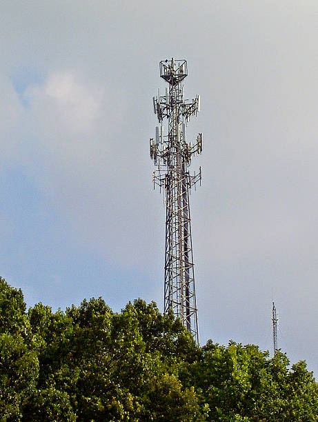 Cell Phone Tower, Standing Above Trees stock photo