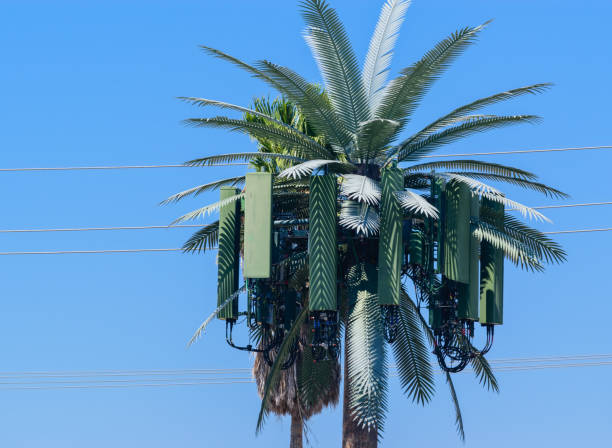 Cell tower palm stock photo
