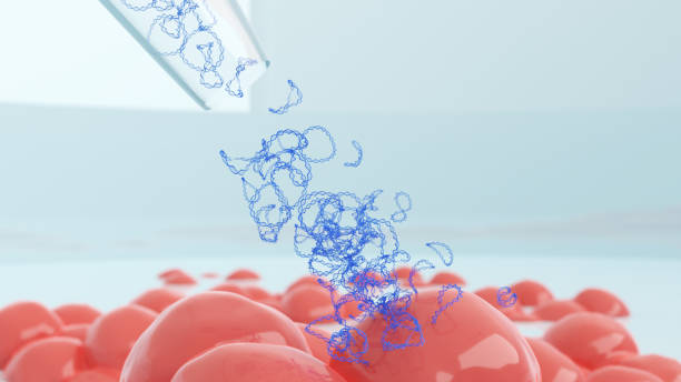 Cell transfection with plasmid stock photo