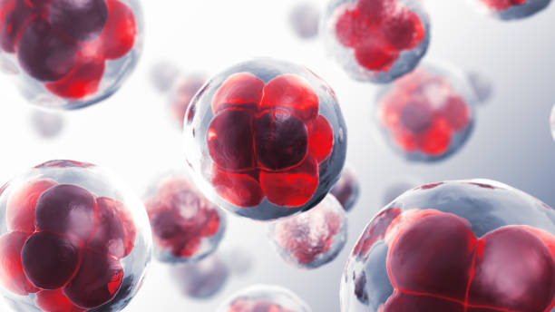 Cells Cells. Concept. 3D Render blood cancer stock pictures, royalty-free photos & images