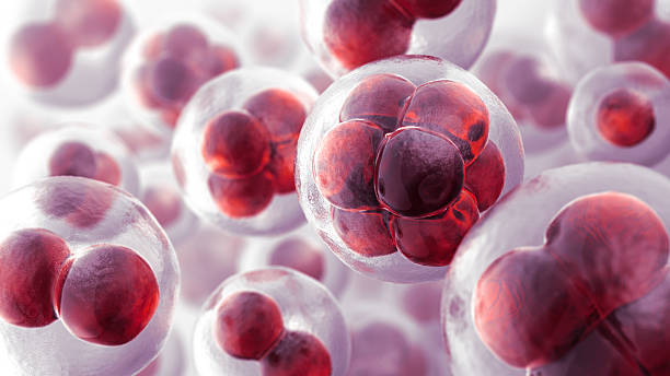 Cells Genetics background. 3D render. human cell stock pictures, royalty-free photos & images