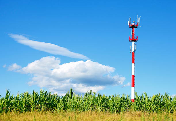 Cellular Tower Communication tower against blue cloudy sky. animal antenna stock pictures, royalty-free photos & images