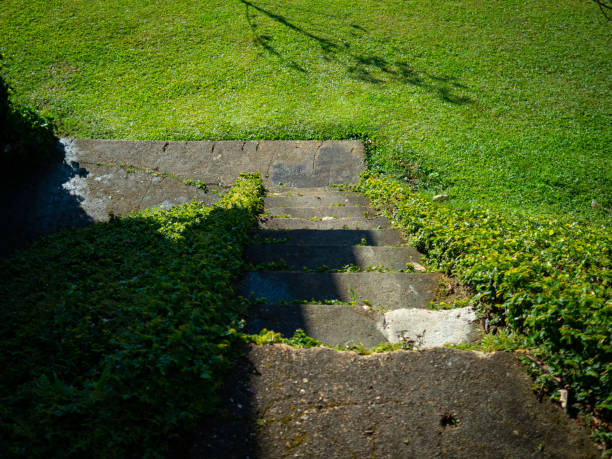 Cement stairway area, walkway decorated with green grass stock photo