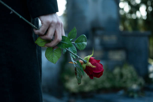 Cemetery Woman wearing black dresses holds red rose mourner stock pictures, royalty-free photos & images