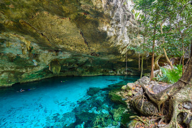 Cenote Dos Ojos in Quintana Roo, Mexico. People swimming and snorkeling in clear blue water. This cenote is located close to Tulum in Yucatan peninsula, Mexico. stock photo
