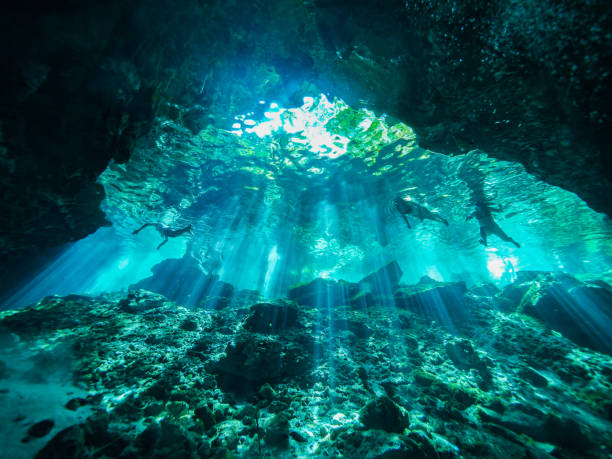 cenote duiken, onderwater grot in mexico - speleologie buitensport stockfoto's en -beelden