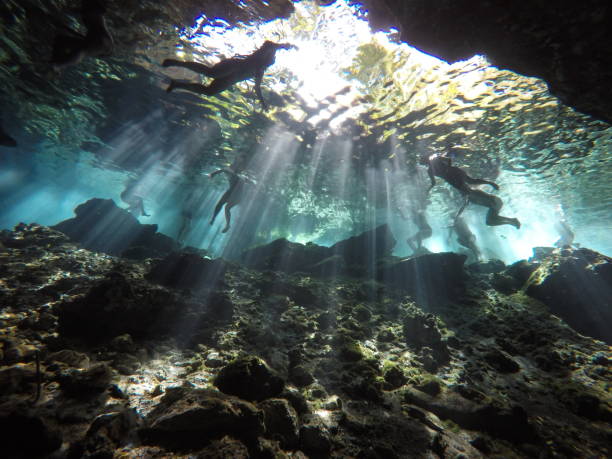 cenote zwemmen in cancun, mexico - speleologie buitensport stockfoto's en -beelden