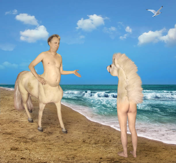 Centaur meets a strange horse The centaur meets the strange horse on the beach of the sea. He was very confused. mistake photos stock pictures, royalty-free photos & images
