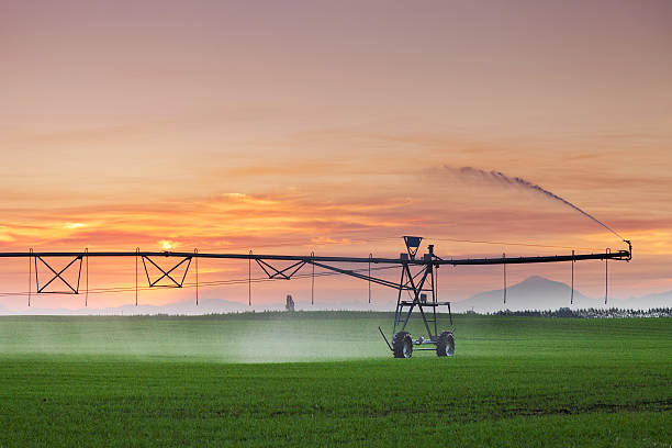 Center Pivot Irrigation Machine at Sunset Center pivot irrigator watering a field at sunset in summer. Mid Canterbury, New Zealand irrigation equipment stock pictures, royalty-free photos & images